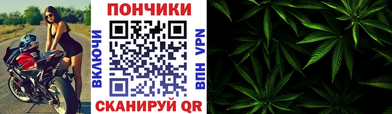 Шишки марихуана планчик Мамадыш